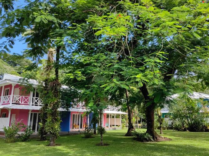 Tortuga Lodge & Gardens By Boeena Tortuguero Δωμάτιο φωτογραφία