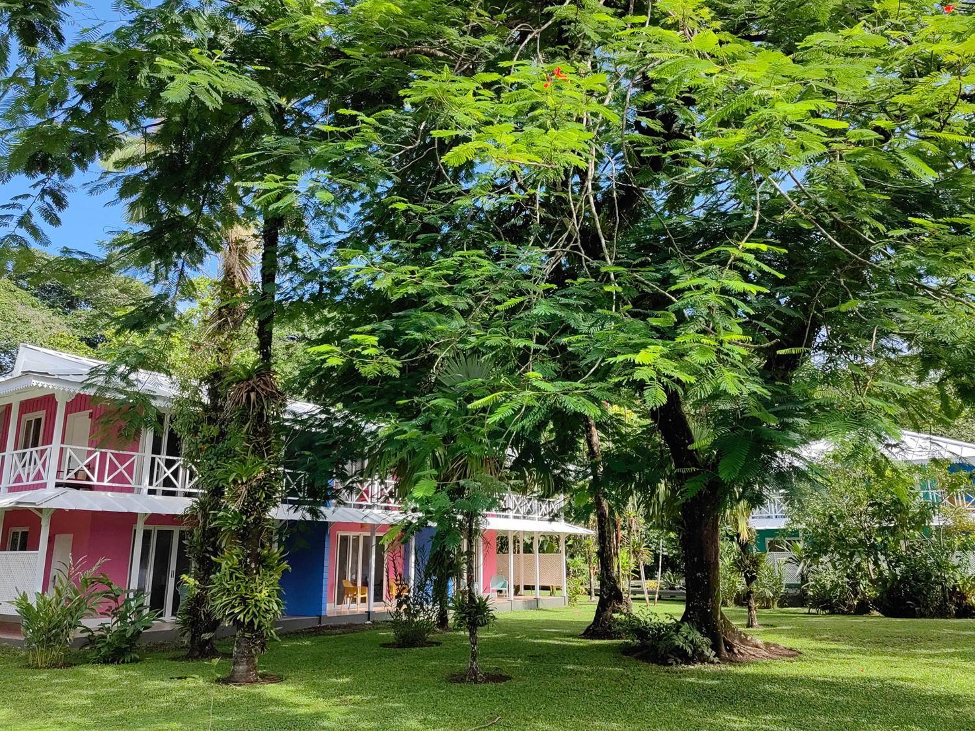 Tortuga Lodge & Gardens By Boeena Tortuguero Εξωτερικό φωτογραφία